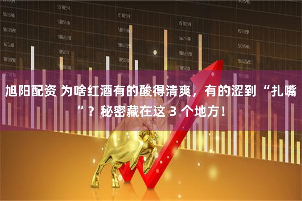 旭阳配资 为啥红酒有的酸得清爽，有的涩到 “扎嘴”？秘密藏在这 3 个地方！