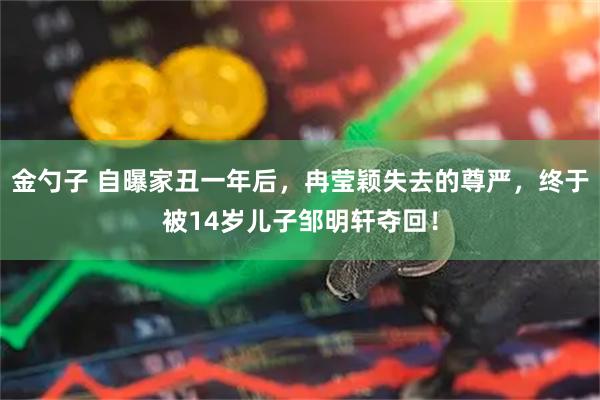 金勺子 自曝家丑一年后，冉莹颖失去的尊严，终于被14岁儿子邹明轩夺回！