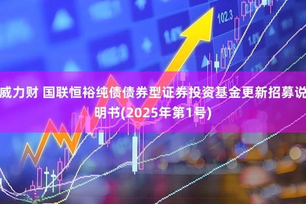 威力财 国联恒裕纯债债券型证券投资基金更新招募说明书(2025年第1号)