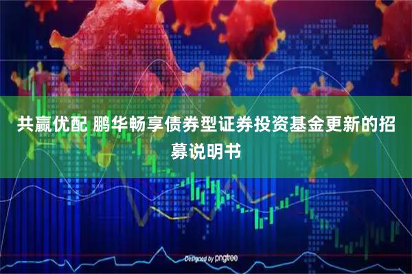 共赢优配 鹏华畅享债券型证券投资基金更新的招募说明书
