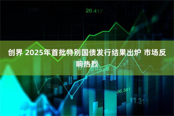 创界 2025年首批特别国债发行结果出炉 市场反响热烈